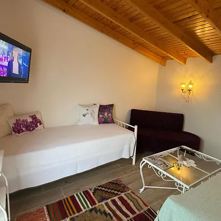 Masal Kuecuekkoey Boutiquehotel *