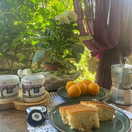 Masal Kuecuekkoey Boutiquehotel